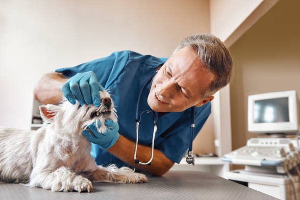Best Emergency Tooth Extraction in Yacolt, WA